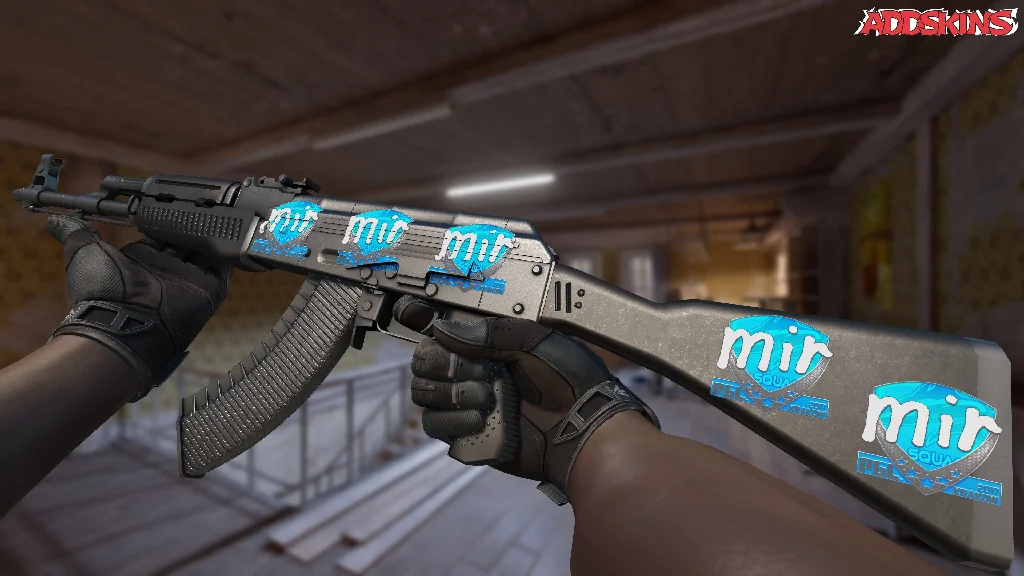 Sticker | mir | Krakow 2017 inspecting