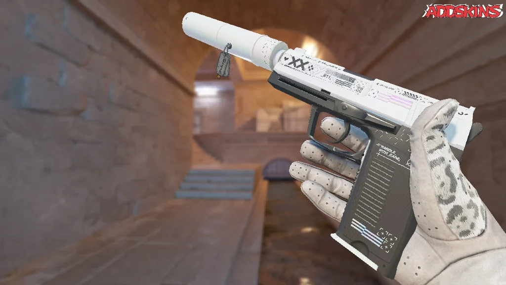Charm | Budapest 2025 Highlight | jcobbb USP-S triple inspecting