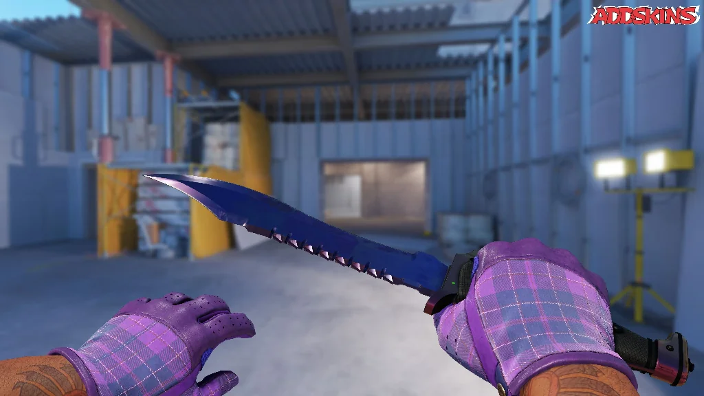 ★ Bowie Knife | Doppler Black Pearl holding