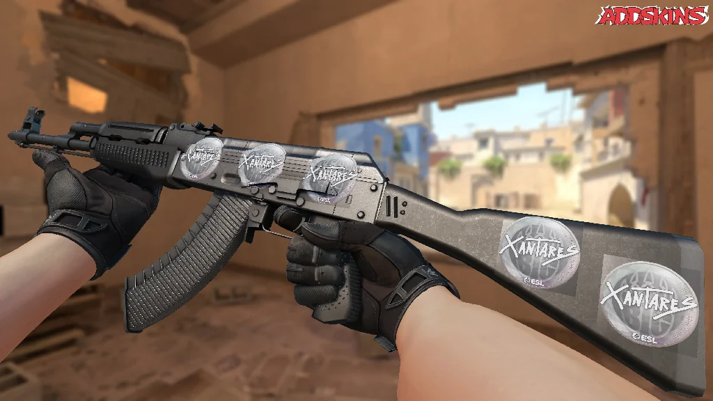 Sticker | XANTARES | Katowice 2019 inspecting