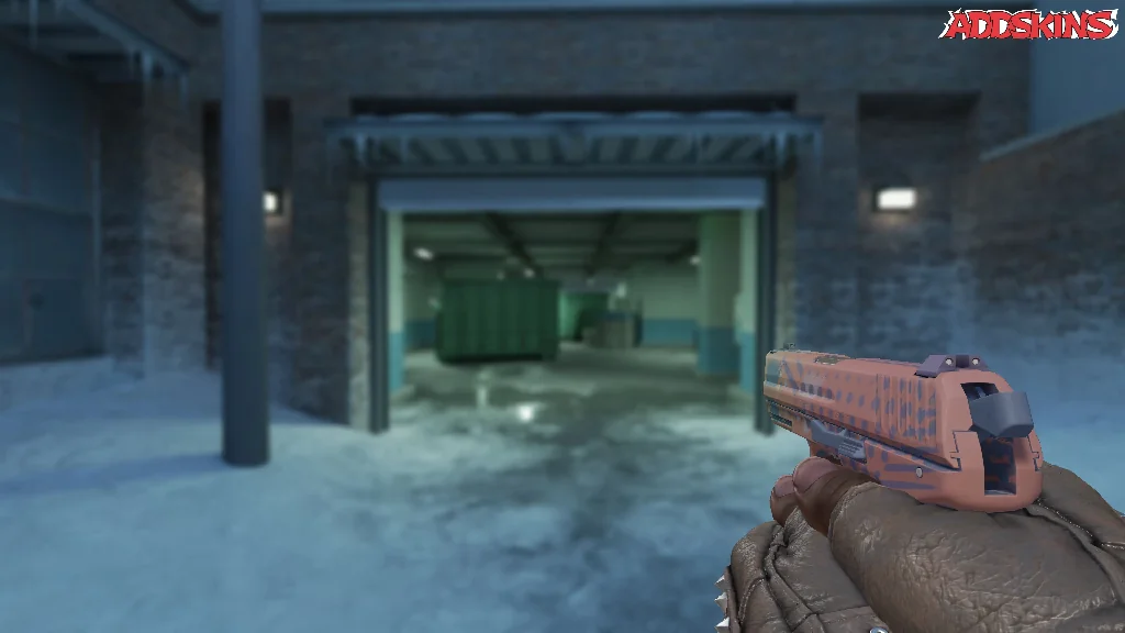 P2000 | Coral Halftone holding
