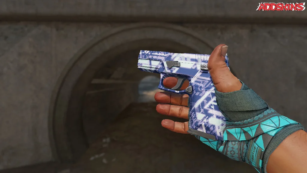 P250 | Digital Architect inspecting