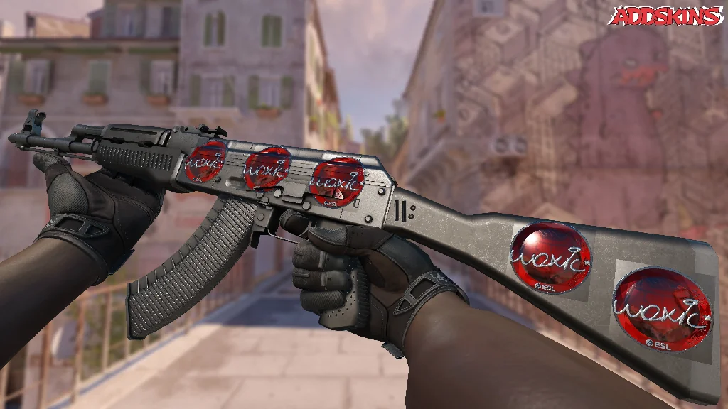 Sticker | woxic (Foil) | Katowice 2019 inspecting