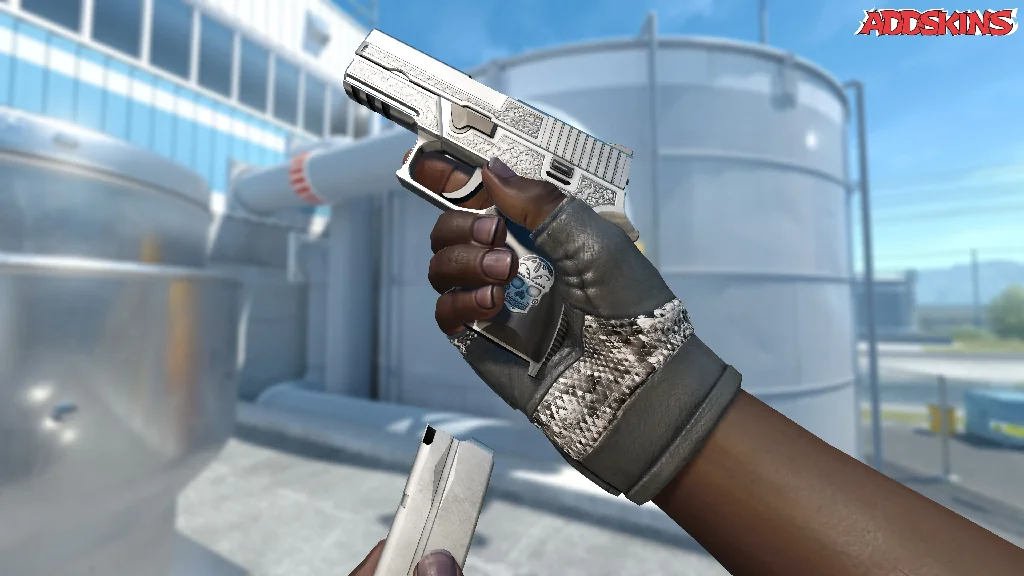 P250 | Cartel reloading