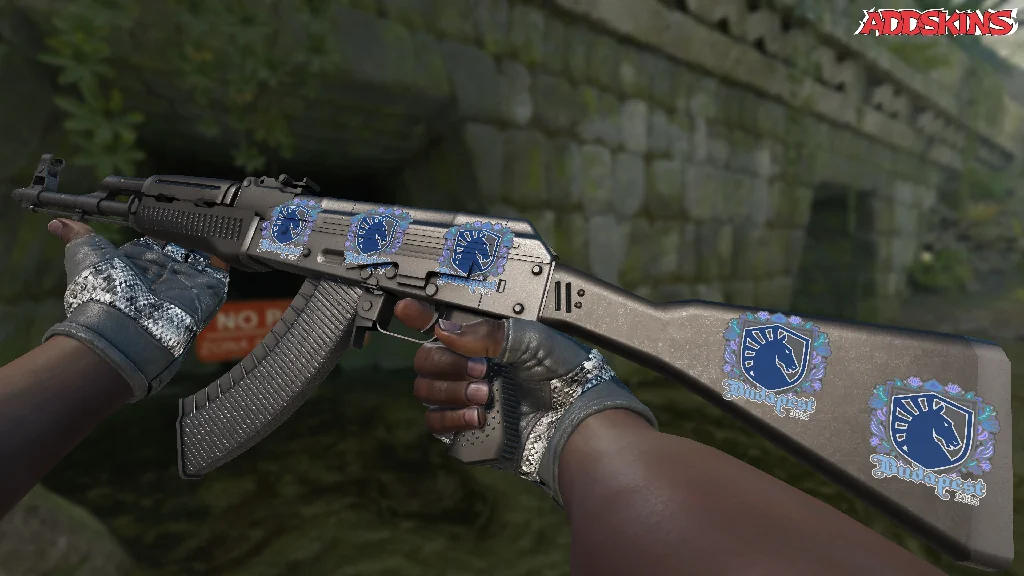 Sticker | Team Liquid | Budapest 2025 inspecting