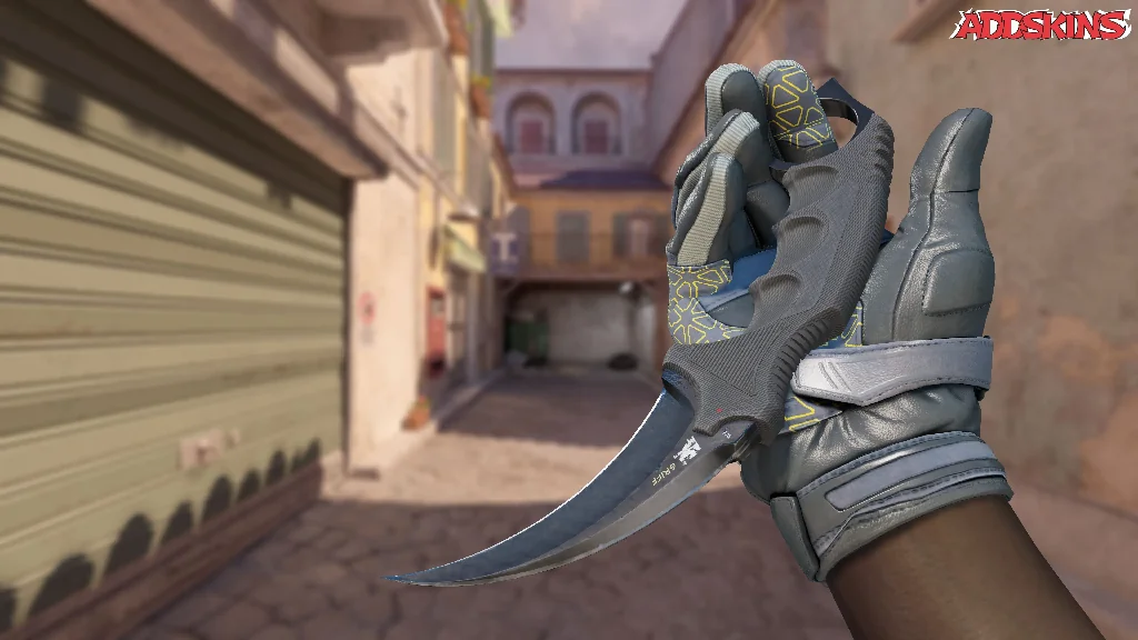 ★ Karambit | Vanilla inspecting