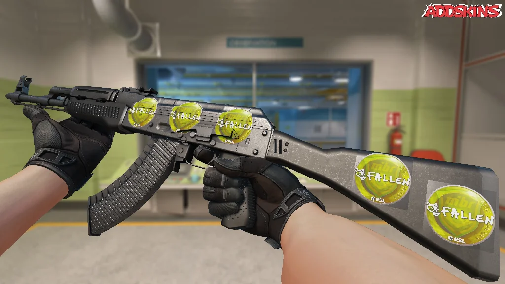 Sticker | FalleN | Katowice 2019 inspecting