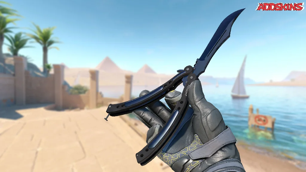 ★ Butterfly Knife | Blue Steel inspecting
