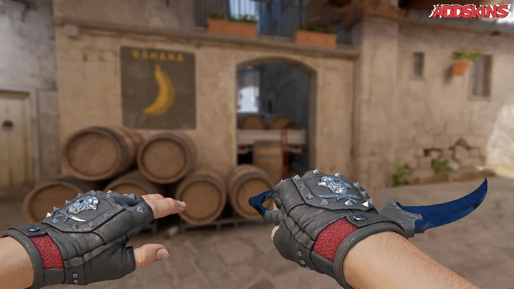 ★ Karambit | Blue Steel holding