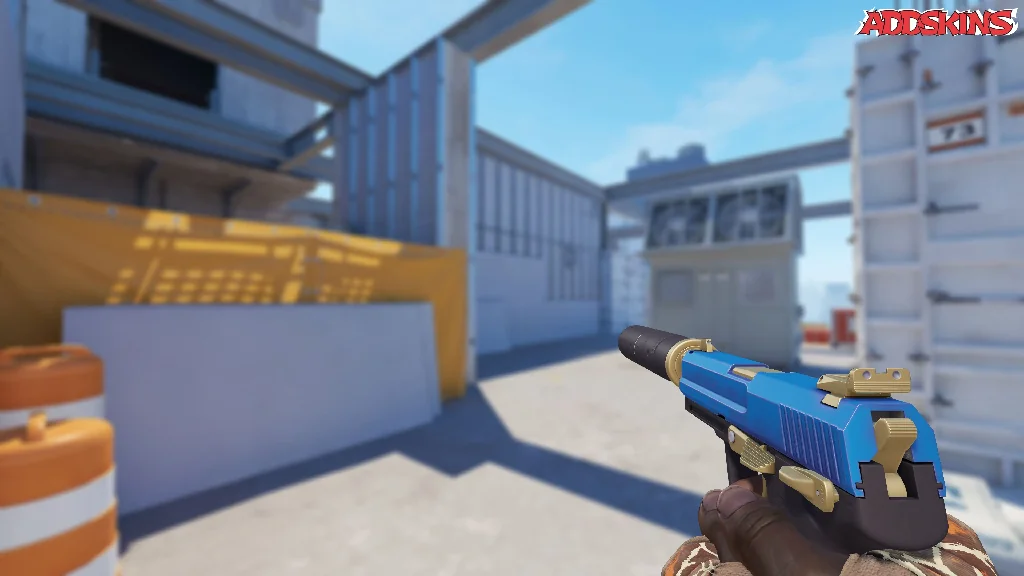 USP-S | Royal Guard holding