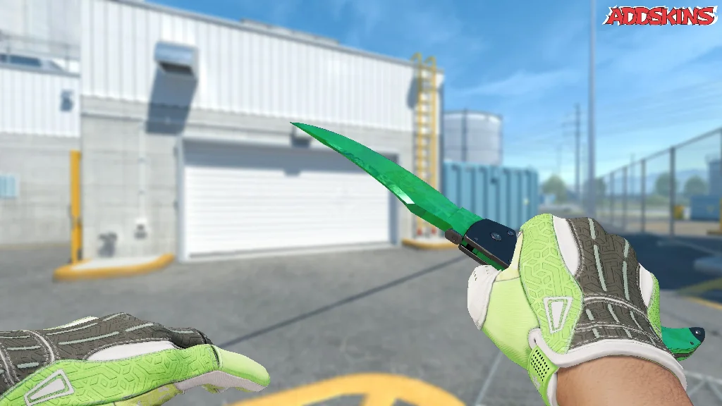 ★ Falchion Knife | Gamma Doppler Emerald holding