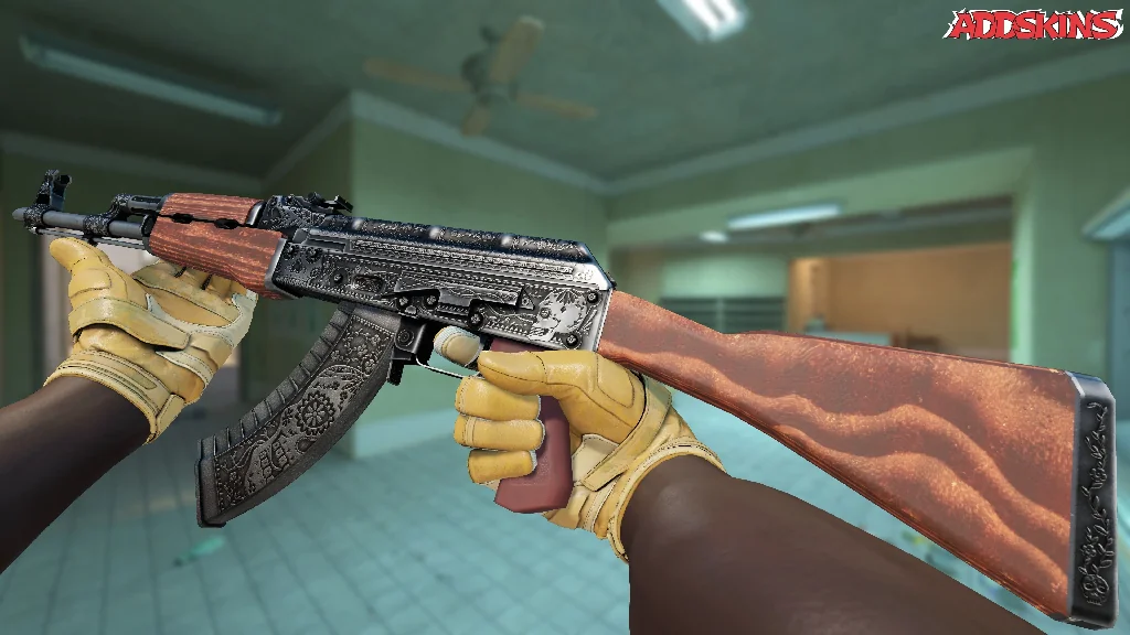 AK-47 | Cartel inspecting