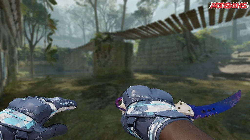 ★ Talon Knife | Doppler Phase 1 holding