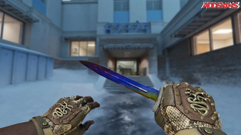 ★ Bayonet | Marble Fade holding