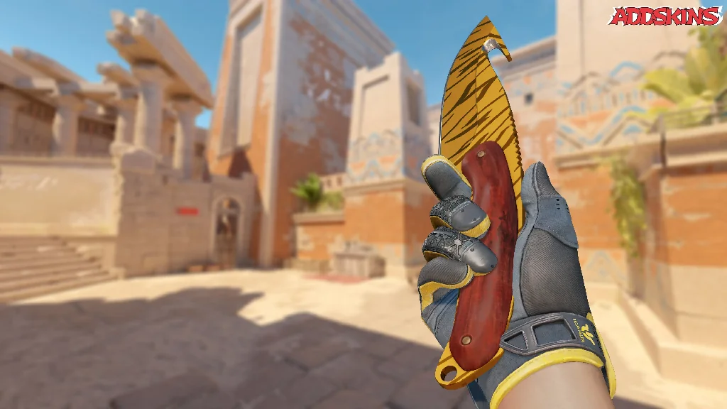 ★ Gut Knife | Tiger Tooth inspecting