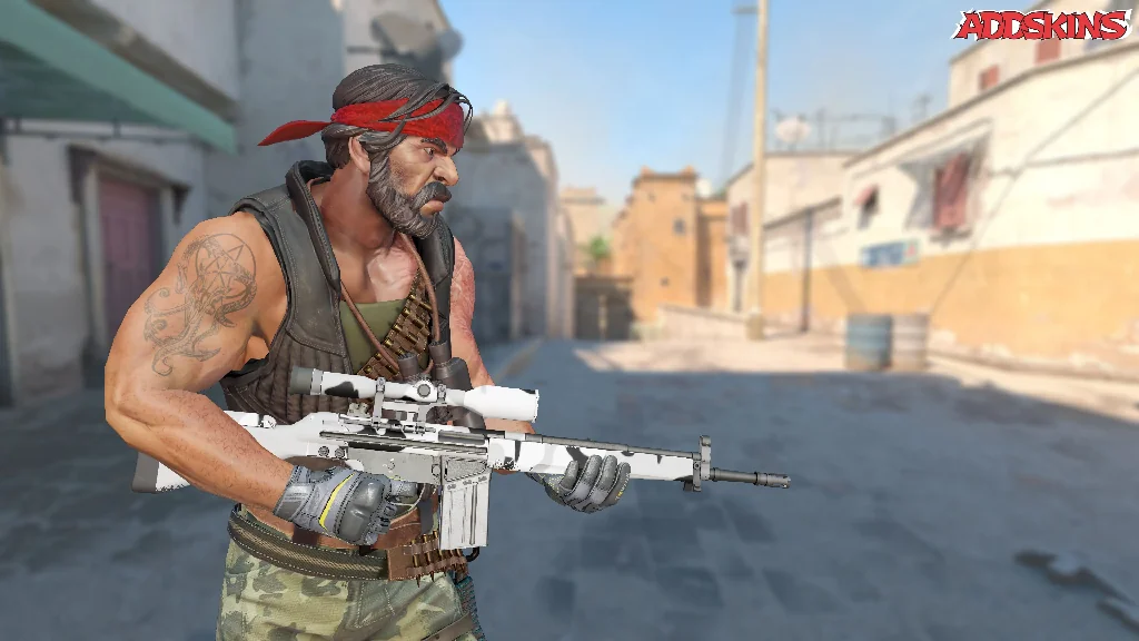 G3SG1 | Polar Camo pose-3