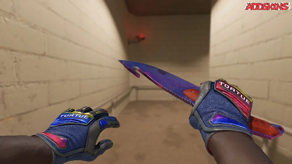 ★ Gut Knife | Doppler Phase 2 holding