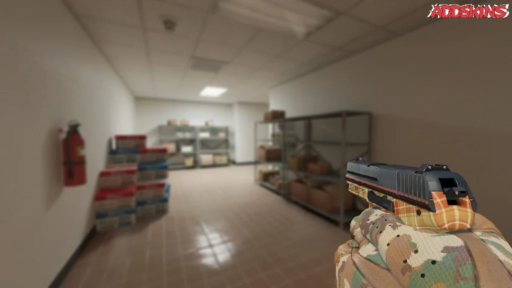 P2000 | Coach Class holding