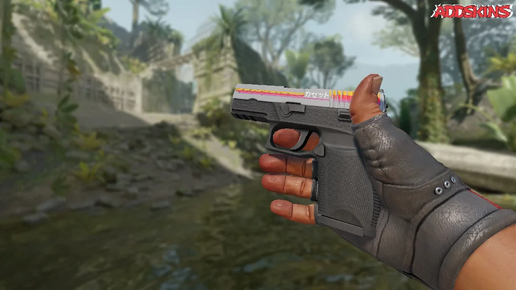 P250 | Cassette inspecting