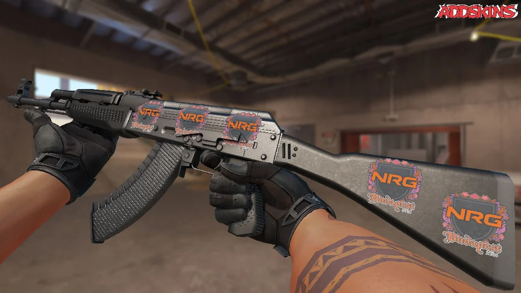 Sticker | NRG | Budapest 2025 inspecting