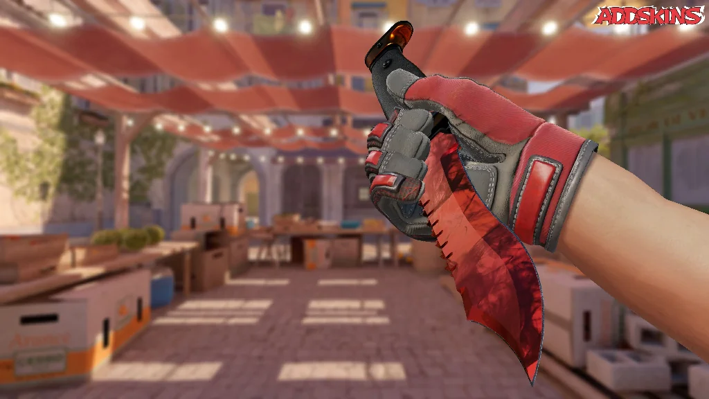 ★ Bowie Knife | Doppler Ruby inspecting