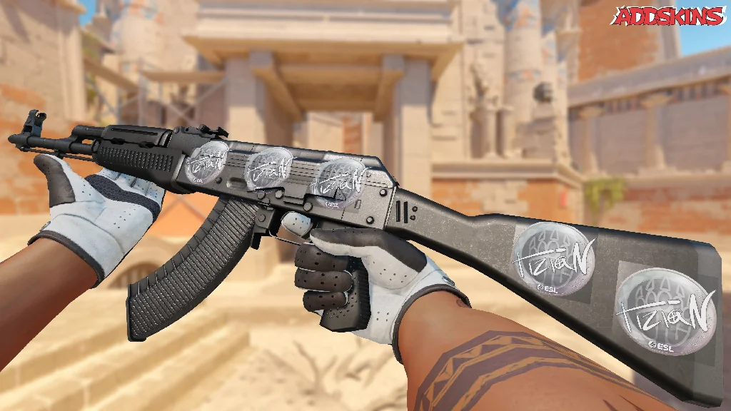 Sticker | tiziaN | Katowice 2019 inspecting