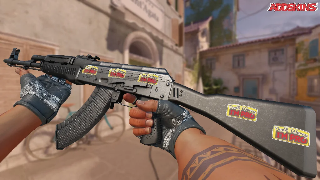 Sticker | Don't Worry, I'm Pro inspecting