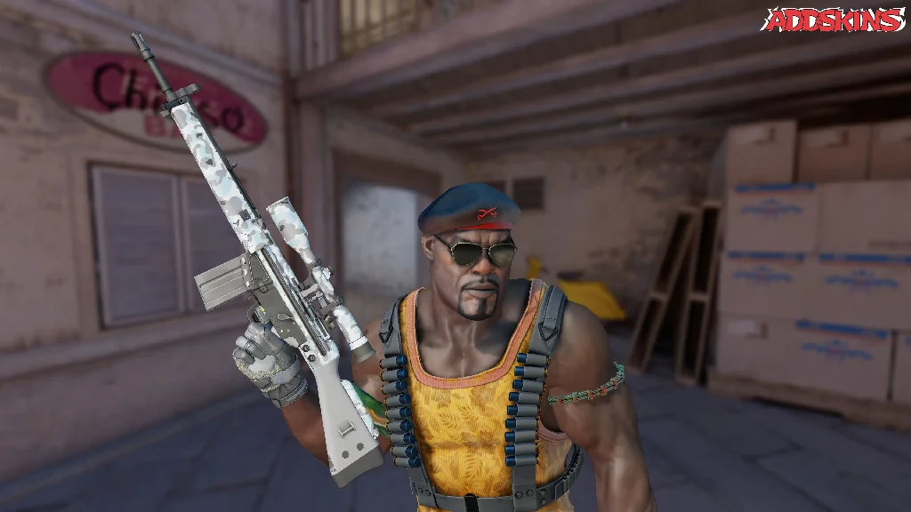 G3SG1 | Arctic Camo pose-2