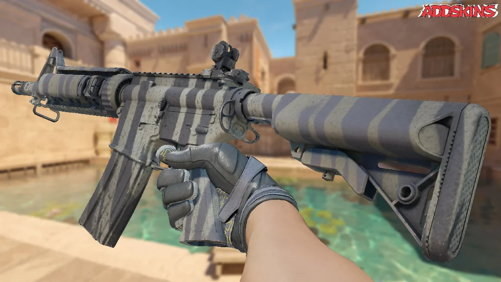 M4A4 | Faded Zebra inspecting