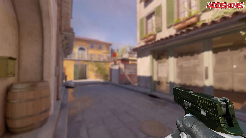 P250 | Iron Clad holding