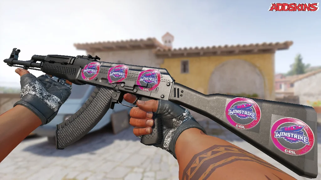 Sticker | Winstrike Team | Katowice 2019 inspecting