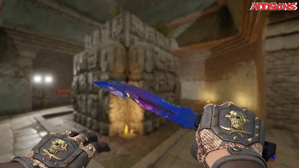 ★ Survival Knife | Doppler holding