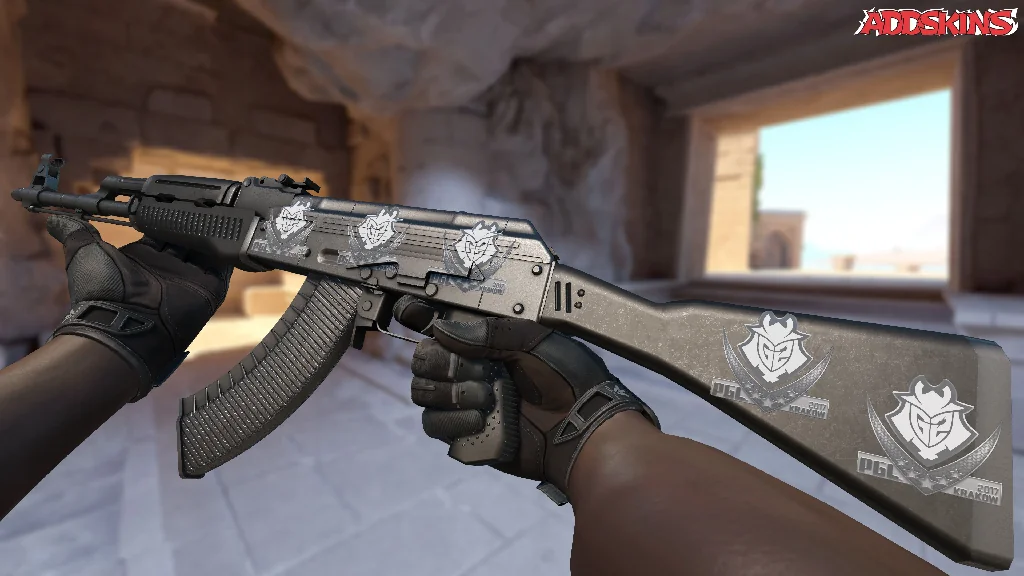 Sticker | G2 Esports | Krakow 2017 inspecting