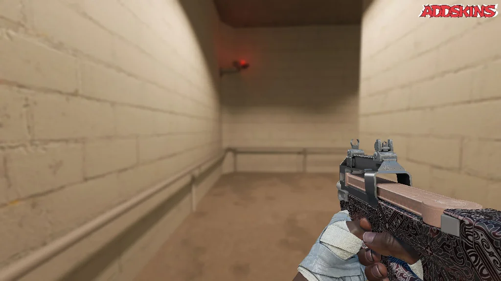 P90 | Baroque Red holding