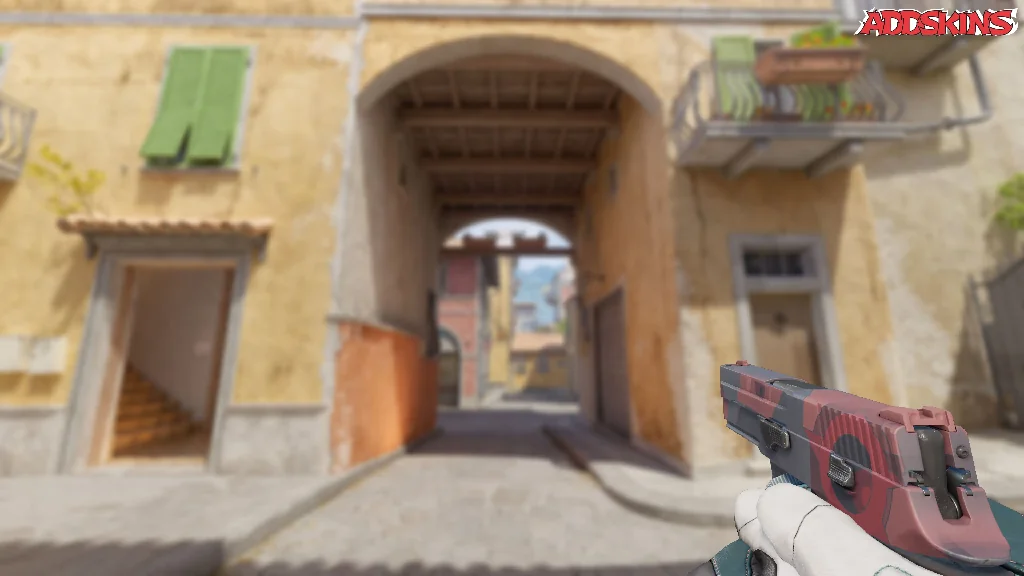 P250 | Constructivist holding