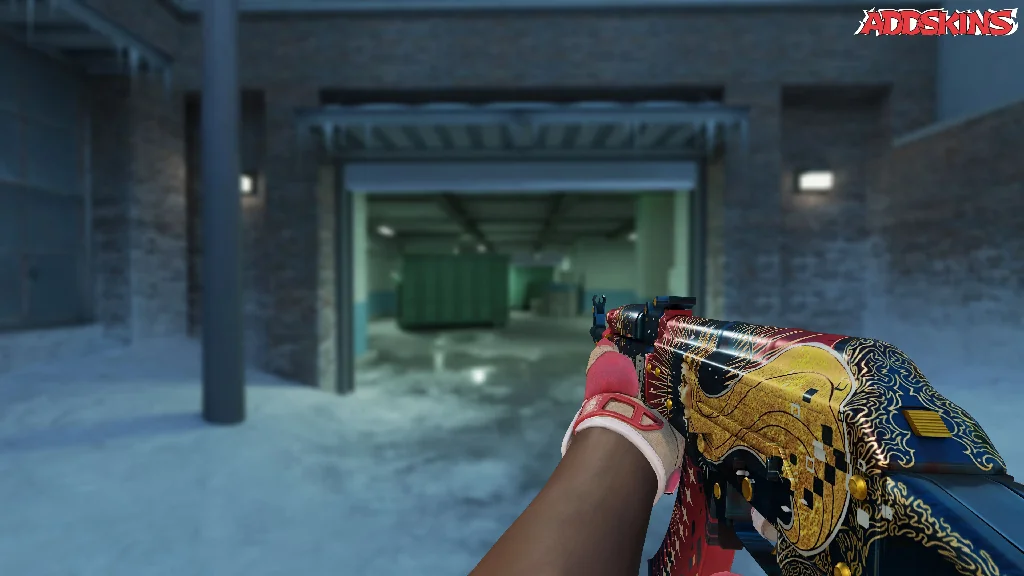 AK-47 | The Empress holding