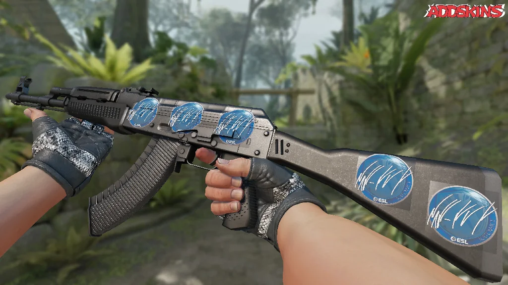 Sticker | NAF | Katowice 2019 inspecting
