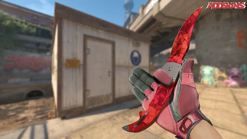 ★ Falchion Knife | Doppler Ruby inspecting