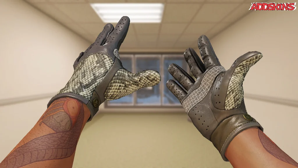 ★ Driver Gloves | Diamondback inspecting