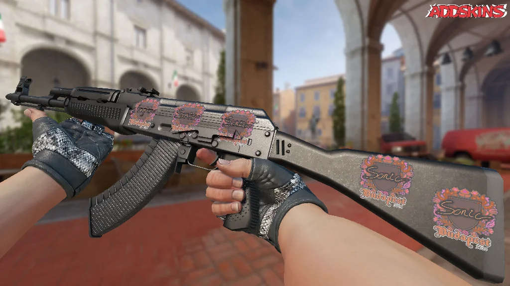 Sticker | Sonic | Budapest 2025 inspecting