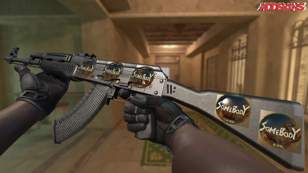 Sticker | somebody (Gold) | Katowice 2019 inspecting