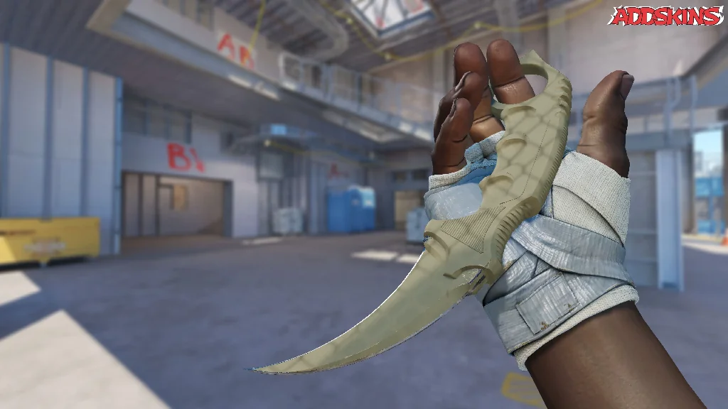 ★ Karambit | Safari Mesh inspecting