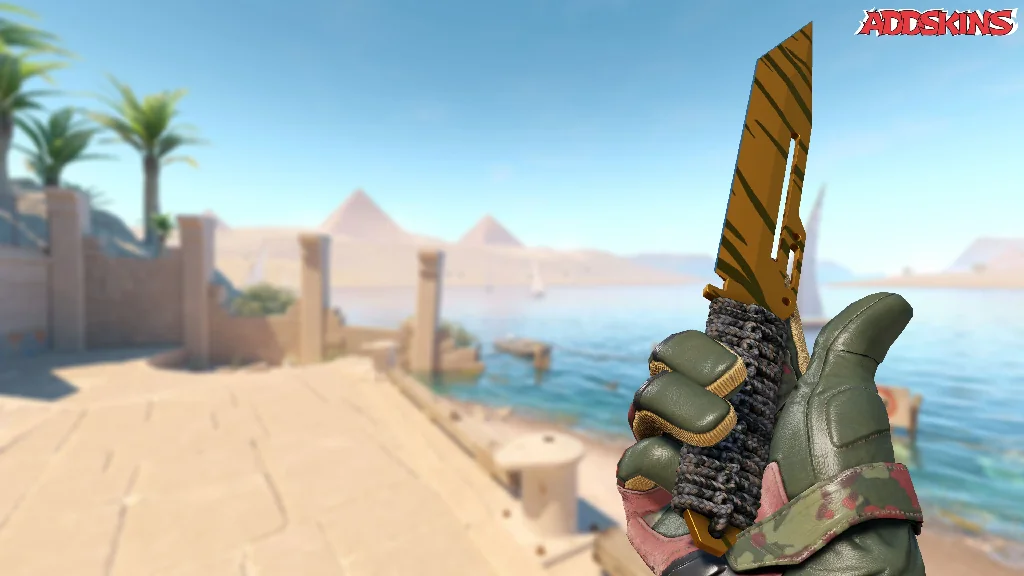★ Paracord Knife | Tiger Tooth inspecting