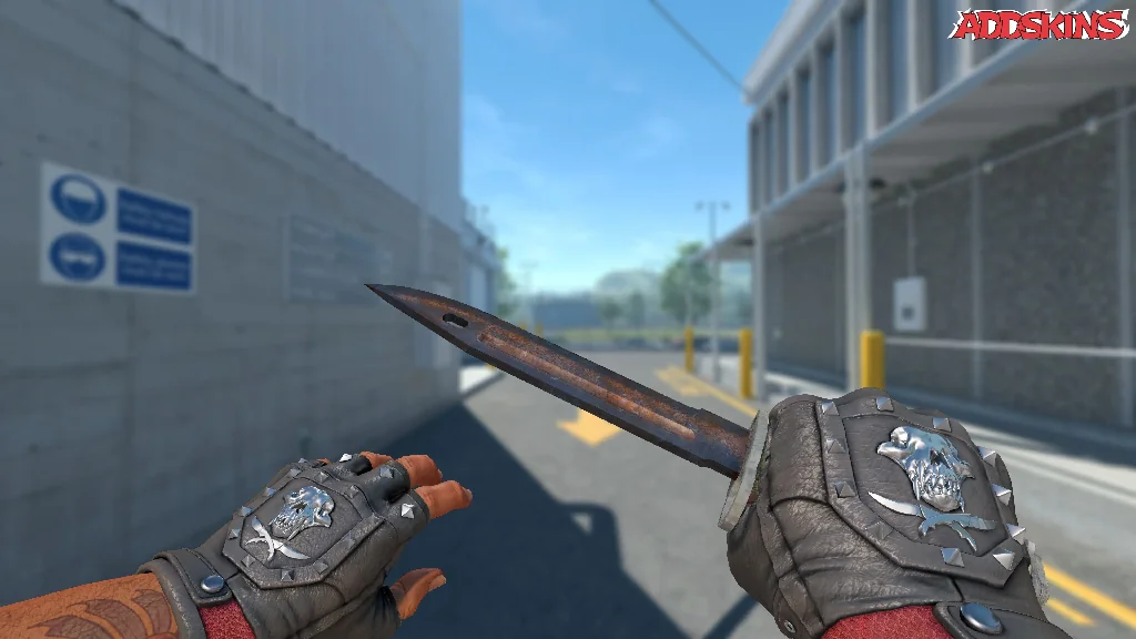 ★ Bayonet | Rust Coat holding