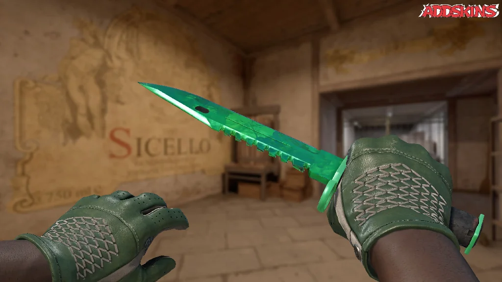 ★ M9 Bayonet | Gamma Doppler Emerald holding