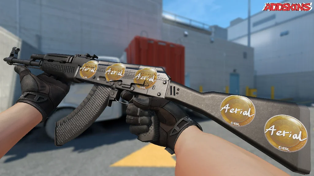 Sticker | Aerial | Katowice 2019 inspecting