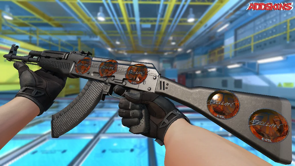 Sticker | Brollan (Foil) | Katowice 2019 inspecting