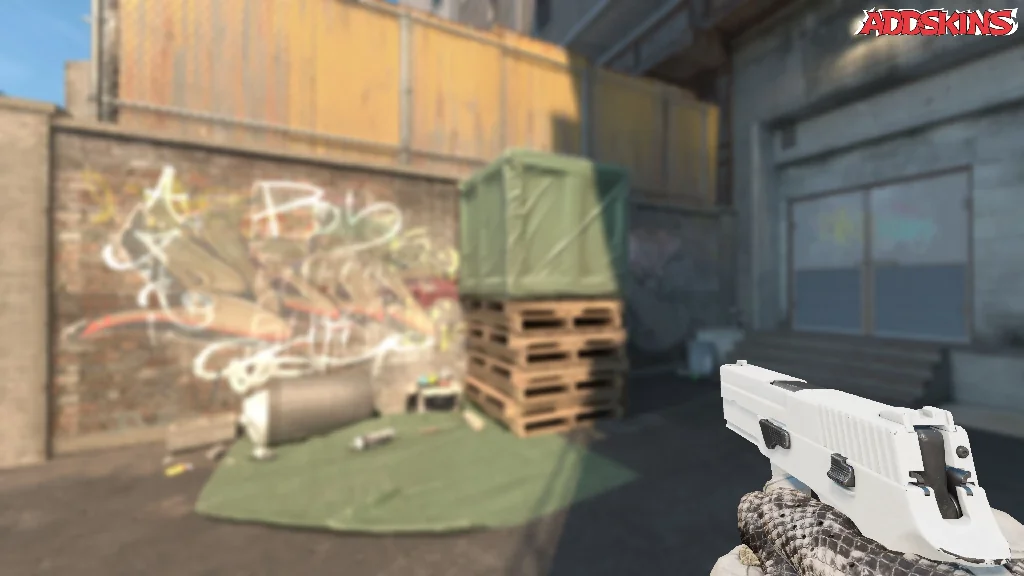 P250 | Whiteout holding