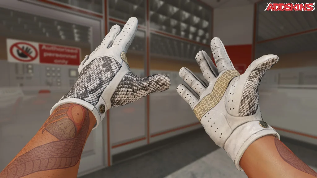★ Driver Gloves | King Snake inspecting