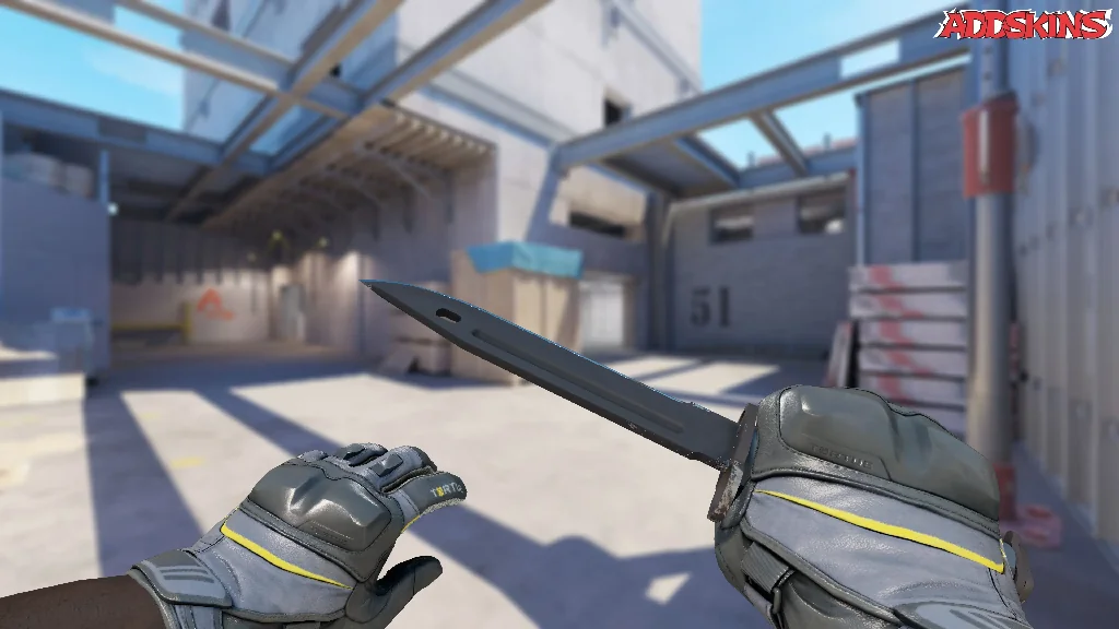 ★ Bayonet | Night holding
